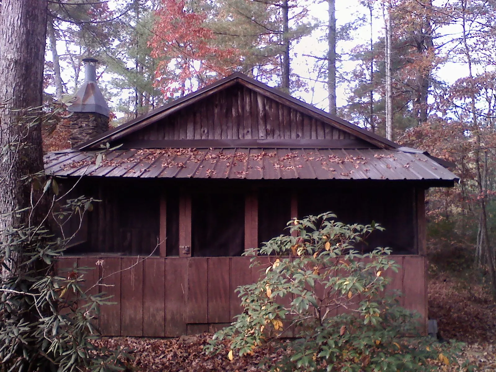 Metal roof over the screened porch of a rustic cabin in Fields